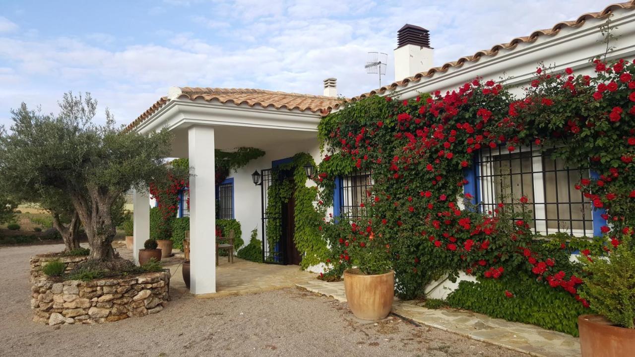 Finca El Romeral Alpera Exterior photo