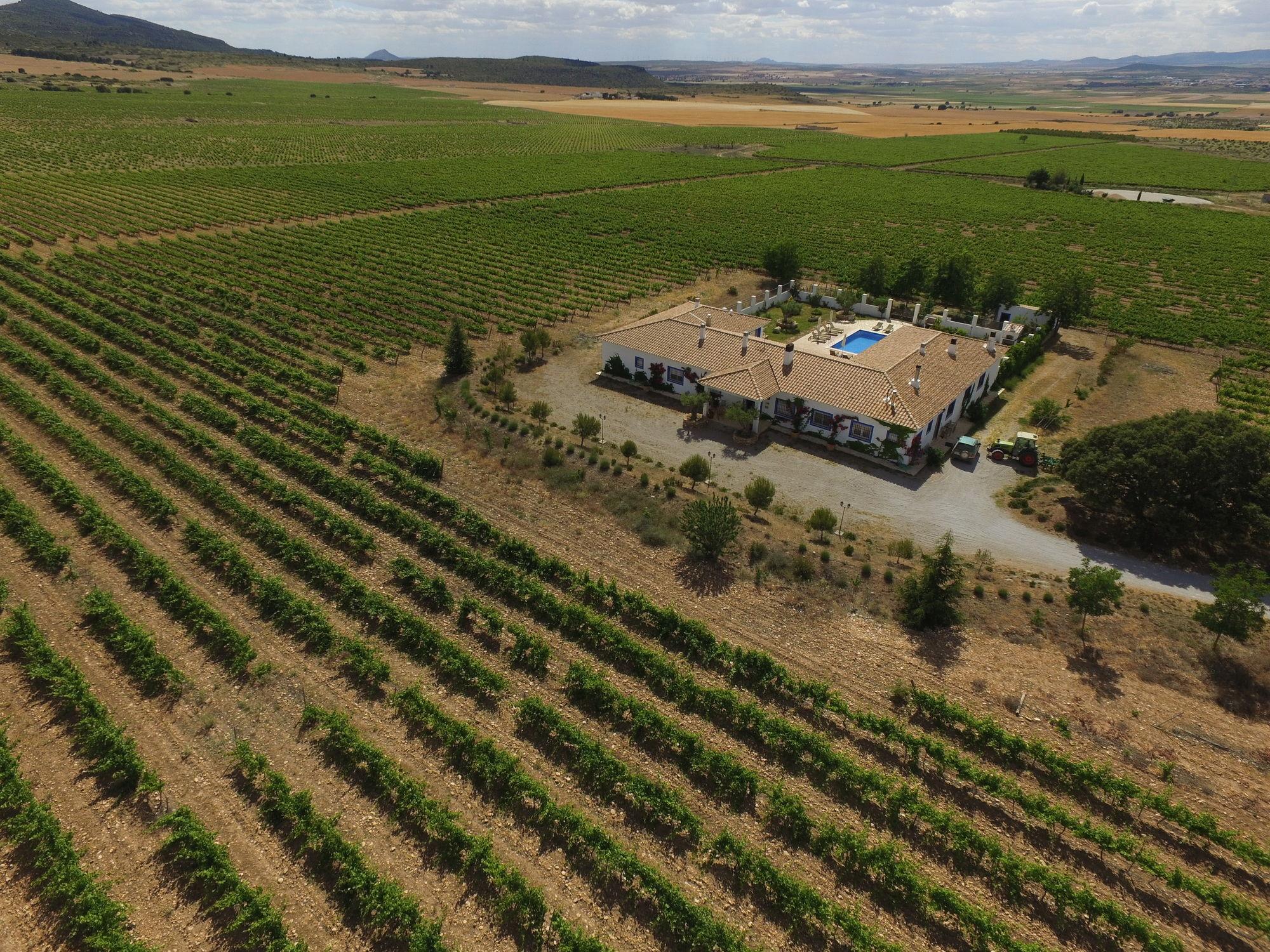 Finca El Romeral Alpera Exterior photo