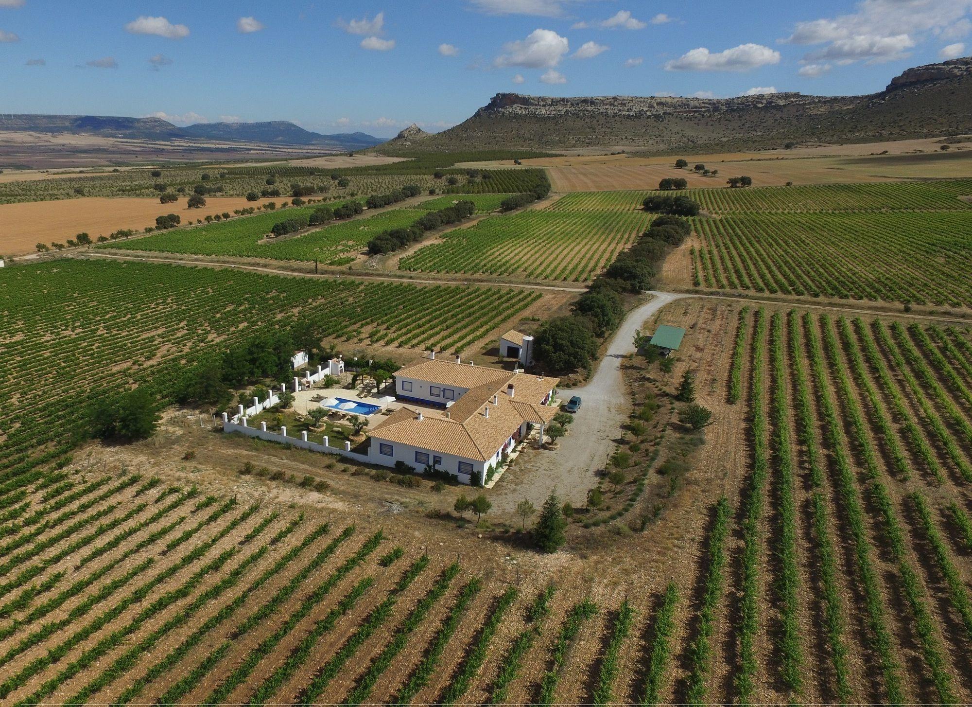 Finca El Romeral Alpera Exterior photo
